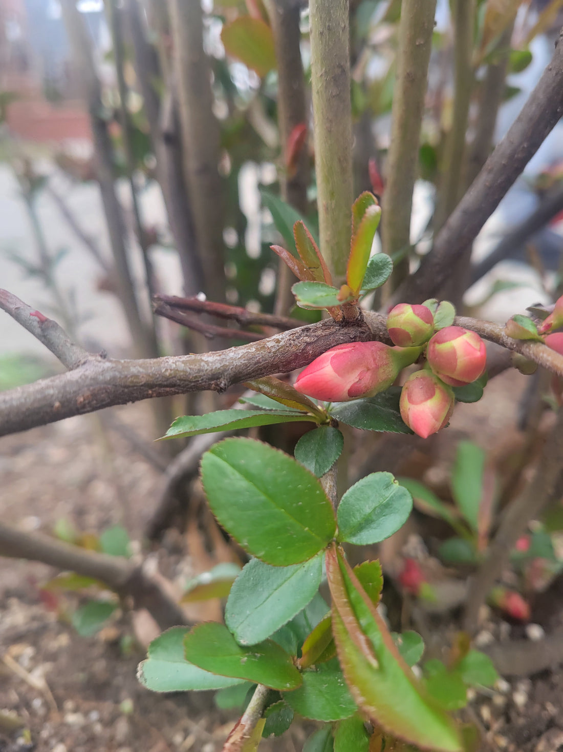 How Daily(ish) Journaling Revealed The Pattern