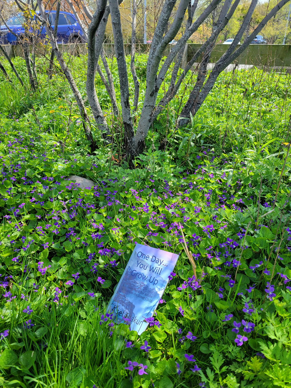 Nothing About This Life Is Real